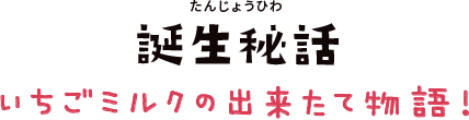 誕生秘話　いちごミルクの出来たて物語！