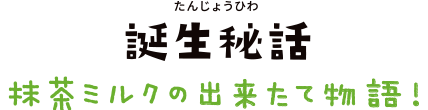 誕生秘話　抹茶ミルクの出来たて物語！