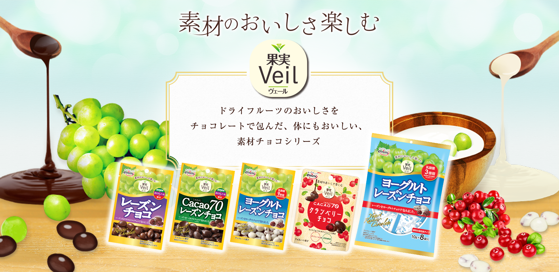 素材のおいしさそのまま　フルーツとチョコのおいしい出会い　ドライフルーツの自然なおいしさをチョコレートで包んだ素材を活かした、ひと粒スイーツ