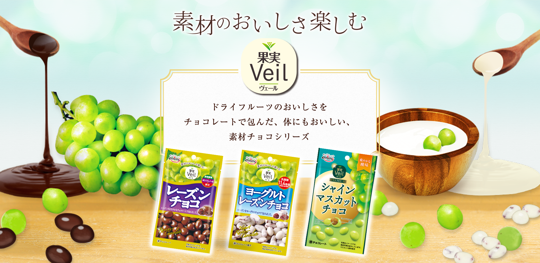 素材のおいしさそのまま　フルーツとチョコのおいしい出会い　ドライフルーツの自然なおいしさをチョコレートで包んだ素材を活かした、ひと粒スイーツ