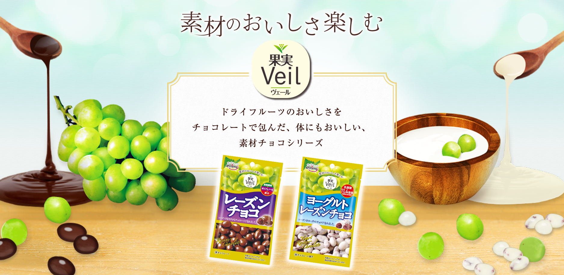 素材のおいしさそのまま　フルーツとチョコのおいしい出会い　ドライフルーツの自然なおいしさをチョコレートで包んだ素材を活かした、ひと粒スイーツ