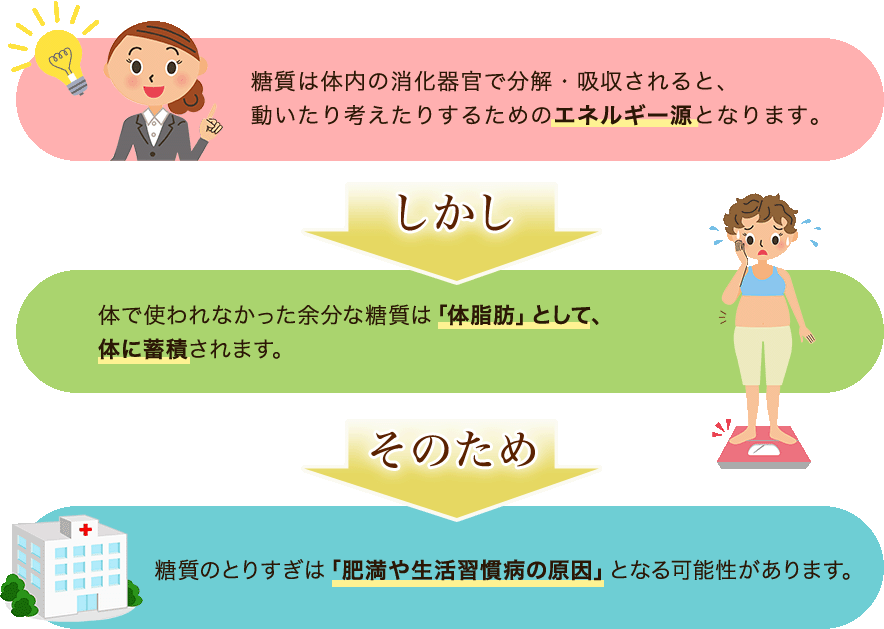 糖質は体内にでエネルギー源になりますが、余分な糖質は「体脂肪」として蓄積されます。糖質のとりすぎは「肥満や生活習慣病の原因」となる可能性があります。