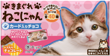 きまぐれねこにゃん|株式会社 正栄デリシィ きまぐれねこにゃん|株式会社 正栄デリシィ