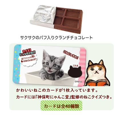 きまぐれねこにゃん 株式会社 正栄デリシィ