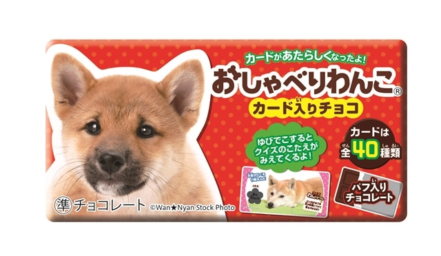おしゃべりわんこ｜株式会社 正栄デリシィ