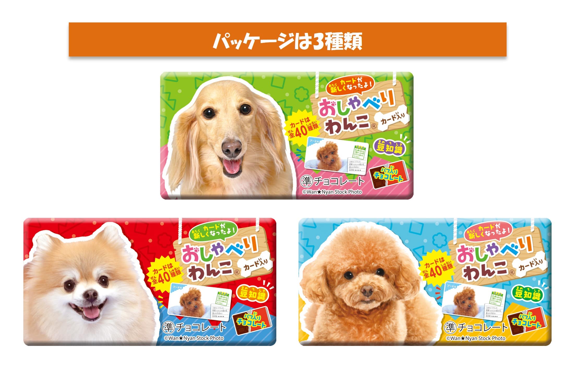 おしゃべりわんこ