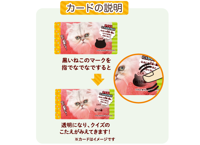 きまぐれねこにゃん|株式会社 正栄デリシィ きまぐれねこにゃん|株式会社 正栄デリシィ