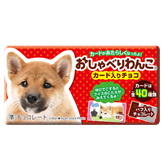 おしゃべりわんこ